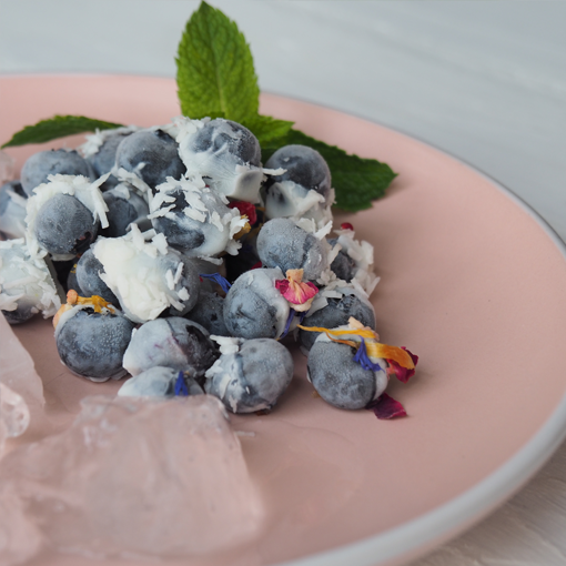 FroYo Blueberry Bites